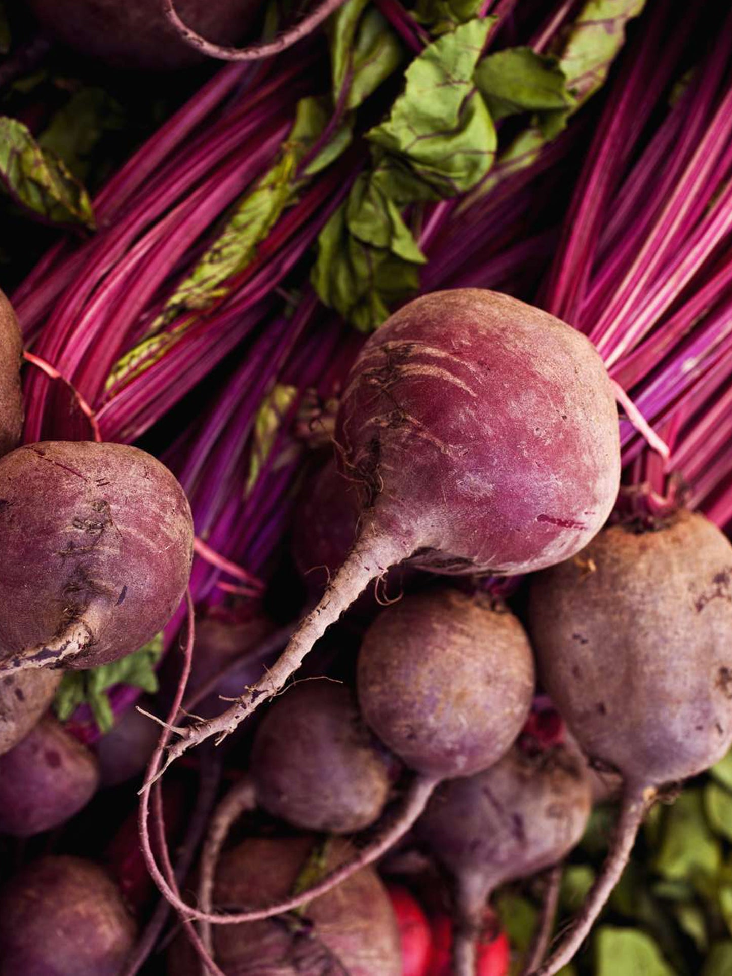 Beet Red Bunch