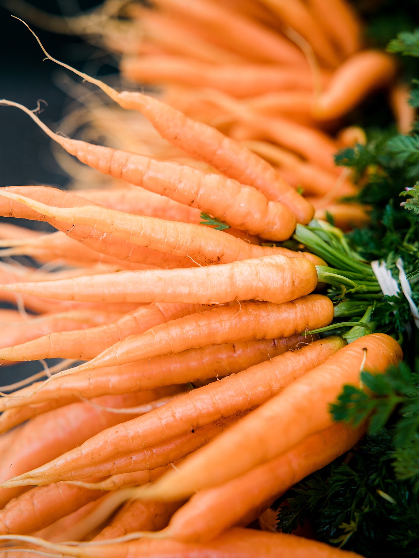 Carrots Bunch