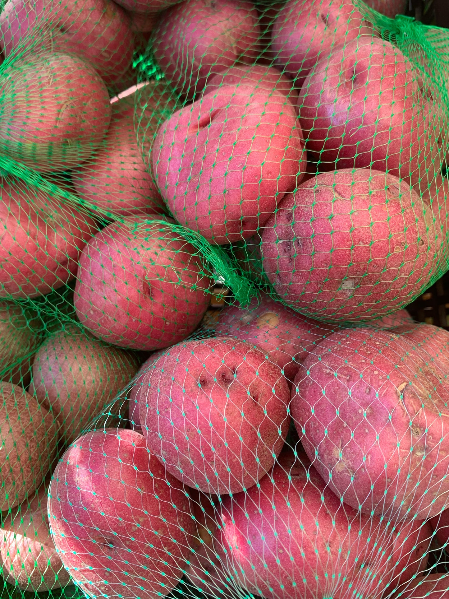 Bag, Potatoes Red stew size 2Lb
