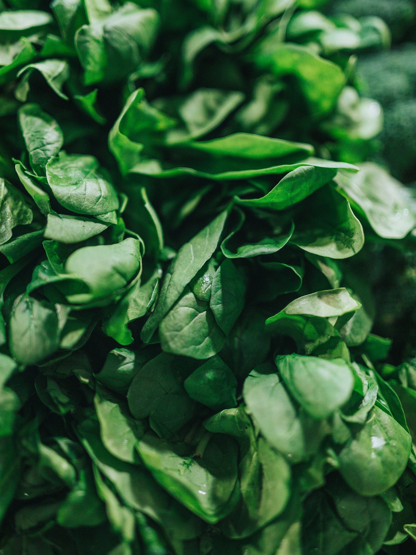 Spinach