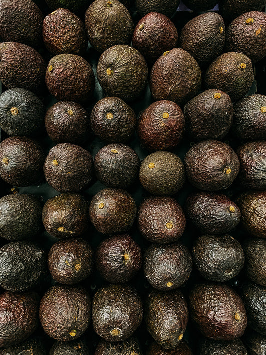 Avocado Extra Large