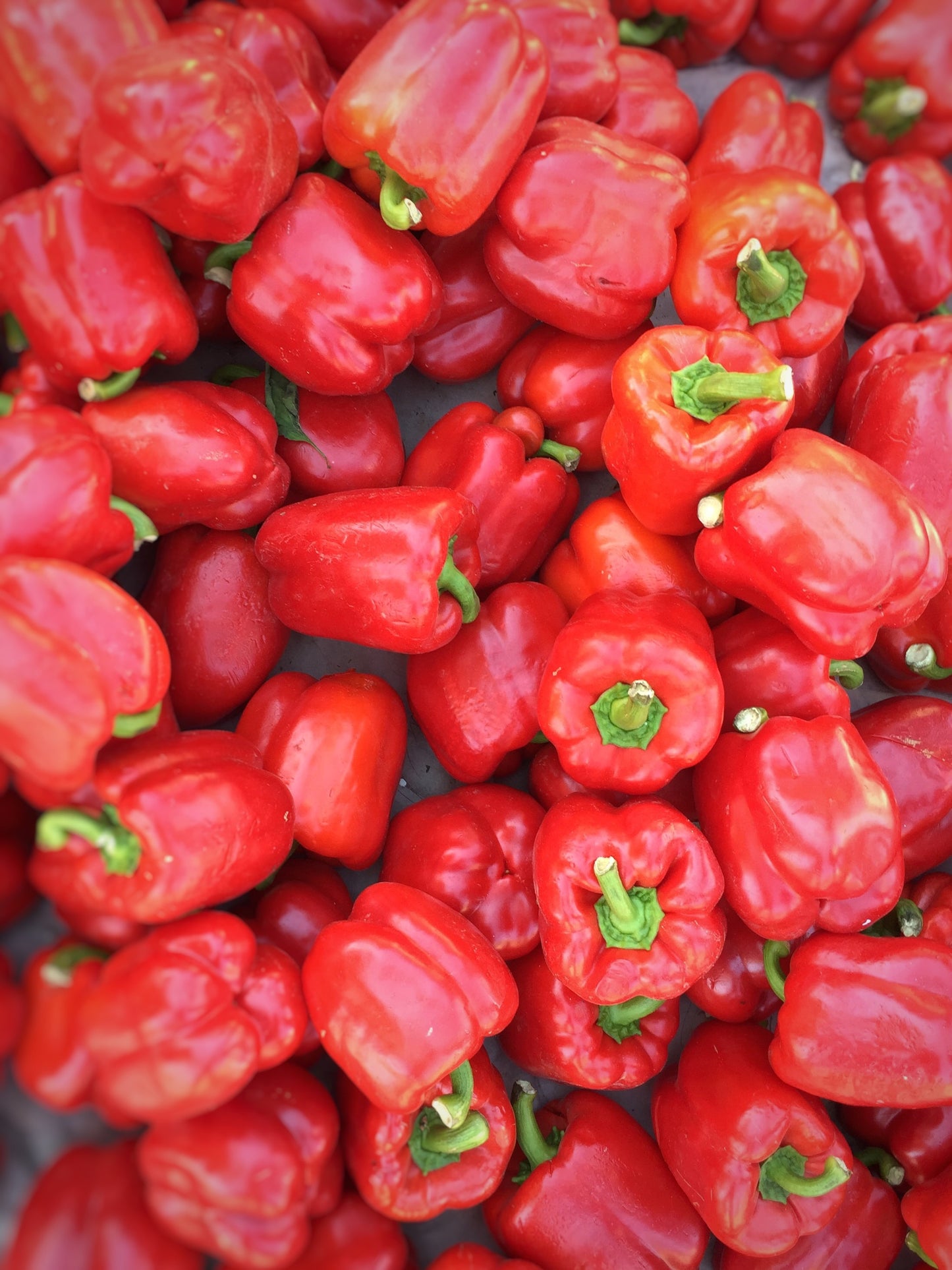 Bell Peppers Red