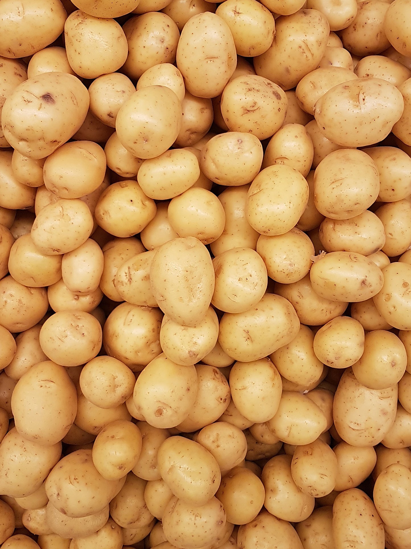 Bag, Potatoes White stew size 2Lb